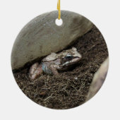 Schmutziger Frosch Keramik Ornament (Hinten)