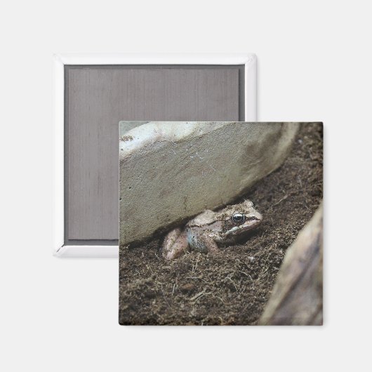 Schmutziger Frosch Magnet (Vorderseite/Rückseite)