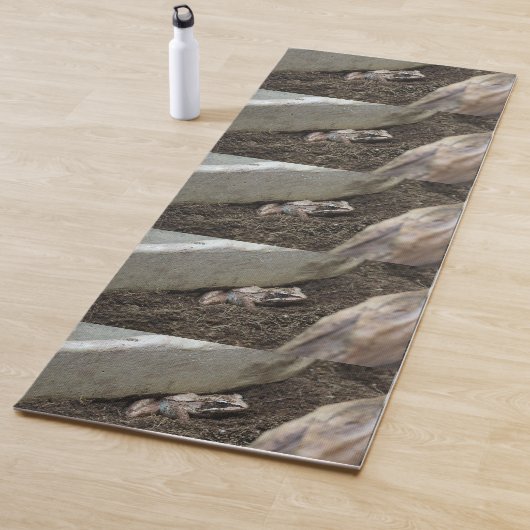 Schmutziger Frosch Yogamatte (Beispiel)