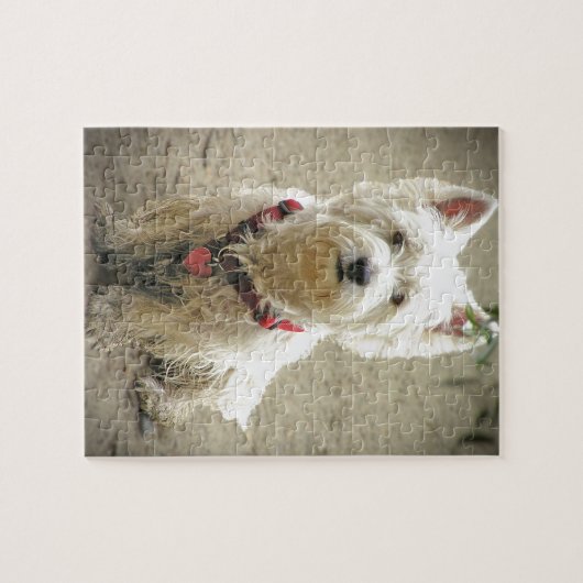 SCHMUTZIGER HUND PUZZLE (Horizontal)