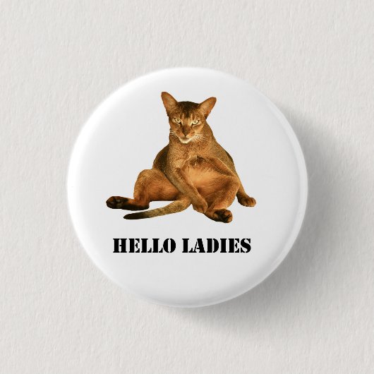 Schmutziger Katze pinback Knopf Button (Vorderseite)