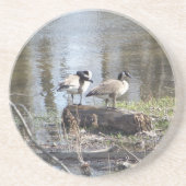 Schmutziger Vogel Getränkeuntersetzer (Vorne)