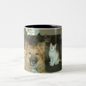 Schmutziges Trio Zweifarbige Tasse (Mittel)