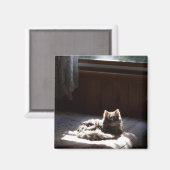 Schmutzmagnet Magnet (Vorderseite/Rückseite)