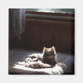 Schmutzmagnet Magnet (Vorne)