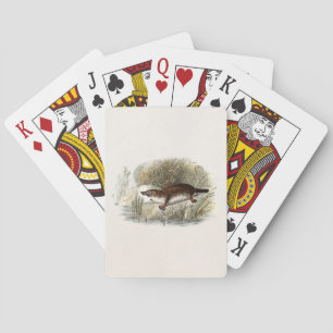 Schnabeltier-Illustration aus dem 19. Jahrhundert Spielkarten