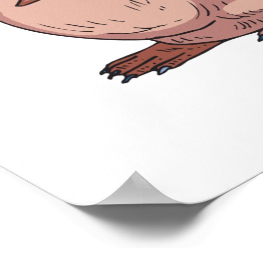 Schnabeltier Poster (Ecke)