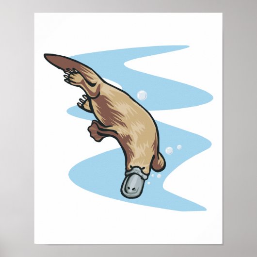 Schnabeltier Poster (Vorne)