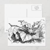 Schnapp-Drache-Fliege Postkarte (Vorne/Hinten)