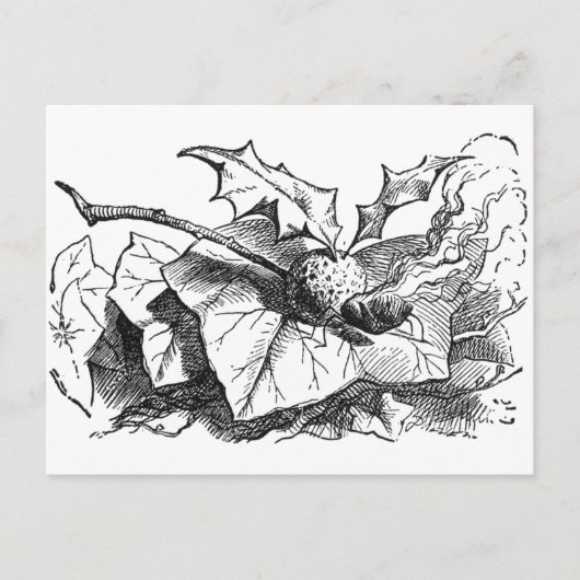 Schnapp-Drache-Fliege Postkarte (Vorderseite)