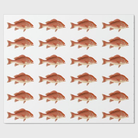 Schnapper-Packpapier Geschenkpapier (Flach)