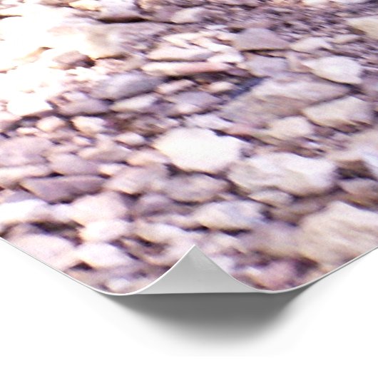 Schnappschildkröte 1 poster (Ecke)