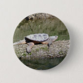 Schnappschildkröte Button (Vorderseite)