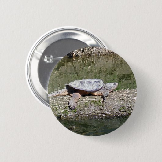 Schnappschildkröte Button (Vorne & Hinten)