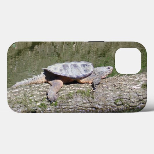 Schnappschildkröte Case-Mate iPhone Hülle (Rückseite (Horizontal))