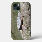 Schnappschildkröte Case-Mate iPhone Hülle (Rückseite)