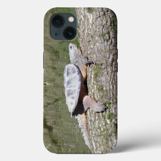 Schnappschildkröte Case-Mate iPhone Hülle (Rückseite)