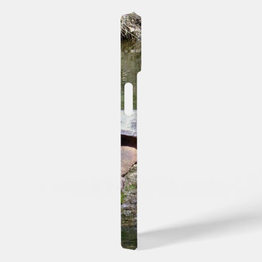 Schnappschildkröte Case-Mate iPhone Hülle (Rückseite / Rechts)