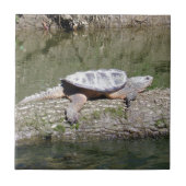 Schnappschildkröte Fliese (Vorderseite)