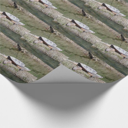 Schnappschildkröte Geschenkpapier (Ecke)