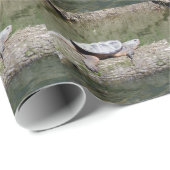 Schnappschildkröte Geschenkpapier (Rolleneckpunkt)