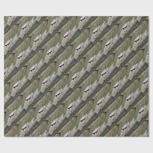 Schnappschildkröte Geschenkpapier (Flach)