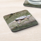 Schnappschildkröte Getränkeuntersetzer (Linke Seite)