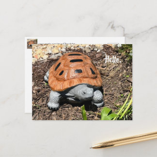 Schnappschildkröte, Hallo oder Ihr Text, Benutzerd Postkarte