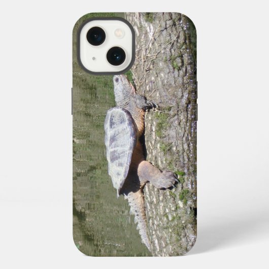 Schnappschildkröte iPhone Hülle (Rückseite)