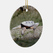 Schnappschildkröte Keramik Ornament (Rechts)