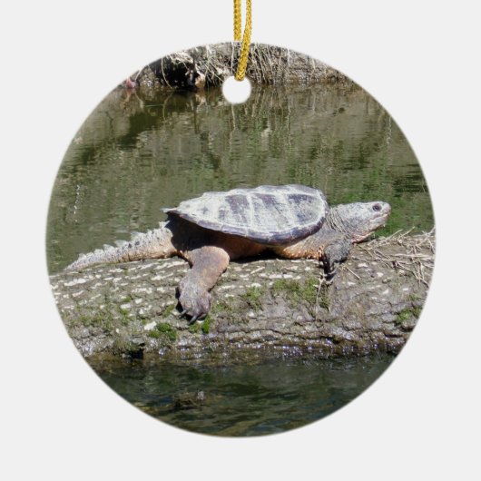 Schnappschildkröte Keramik Ornament (Vorne)