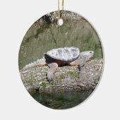 Schnappschildkröte Keramik Ornament (Links)