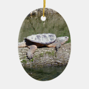 Schnappschildkröte Keramikornament