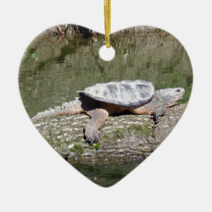 Schnappschildkröte Keramikornament