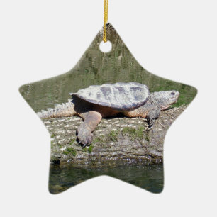 Schnappschildkröte Keramikornament