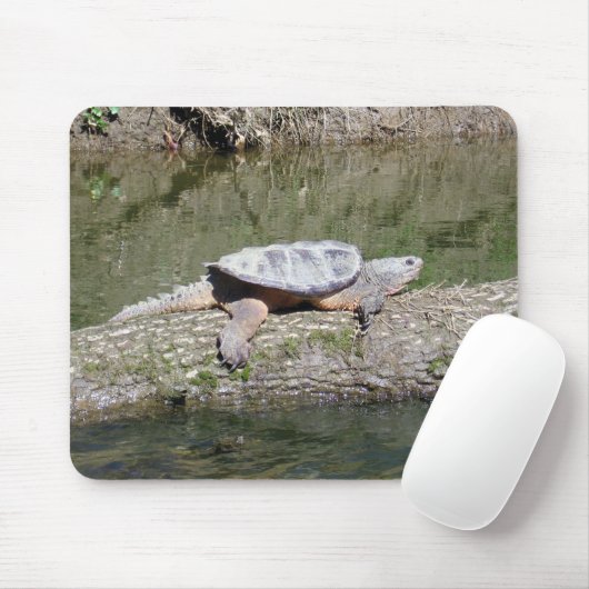 Schnappschildkröte Mousepad (Mit Mouse)
