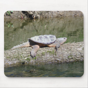 Schnappschildkröte Mousepad