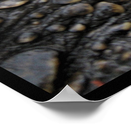 Schnappschildkröte Poster (Ecke)