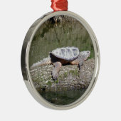 Schnappschildkröte Silbernes Ornament (Rechts)