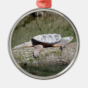 Schnappschildkröte Silbernes Ornament