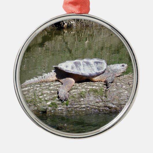 Schnappschildkröte Silbernes Ornament (Vorne)