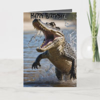 Schnappschnecken: Krokodile, die die Geburtstagska