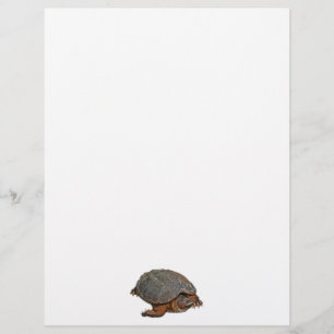 Schnappschuss Terrapin-lover Geschenk