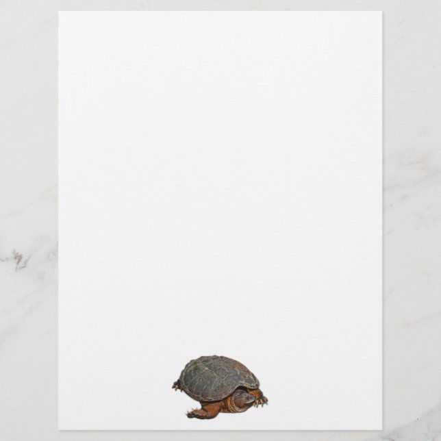 Schnappschuss Terrapin-lover Geschenk (Vorderseite)