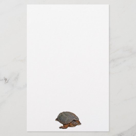 Schnappschuss Terrapin-lover Geschenk Briefpapier (Vorderseite)