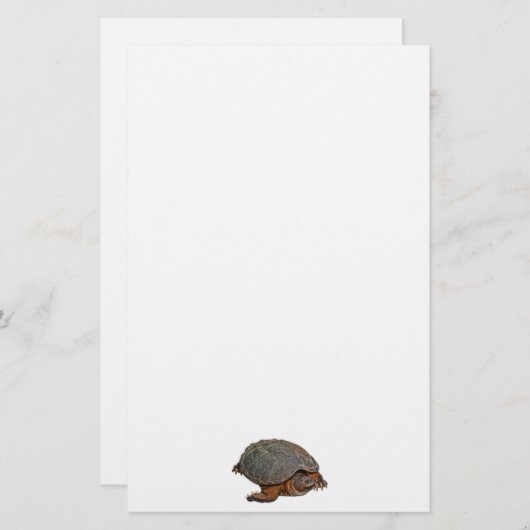 Schnappschuss Terrapin-lover Geschenk Briefpapier (Vorne/Hinten)