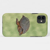 Schnappschuss Terrapin-lover Geschenk Case-Mate iPhone Hülle (Rückseite (Horizontal))