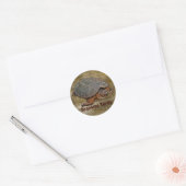 Schnappschuss Terrapin-lover Geschenk Runder Aufkleber (Umschlag)