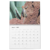 Schnappschüsse Kalender (Mär 2027)