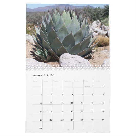 Schnappschüsse Kalender (Jan 2027)